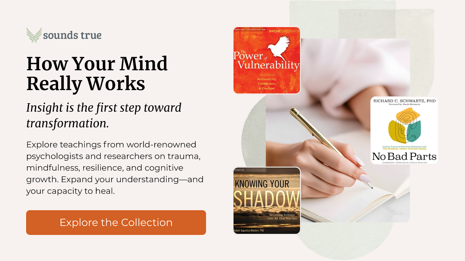 Explore Teachings From World-Renowned Psychologists And Researchers On Trauma, Mindfulness, Resilience, And Cognitive Growth.